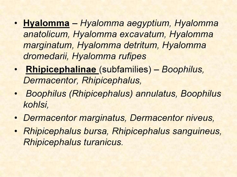 Boophilus, Dermacentor, Rhipicephalus, Boophilus (Rhipicephalus) annulatus, Boophilus kohlsi,