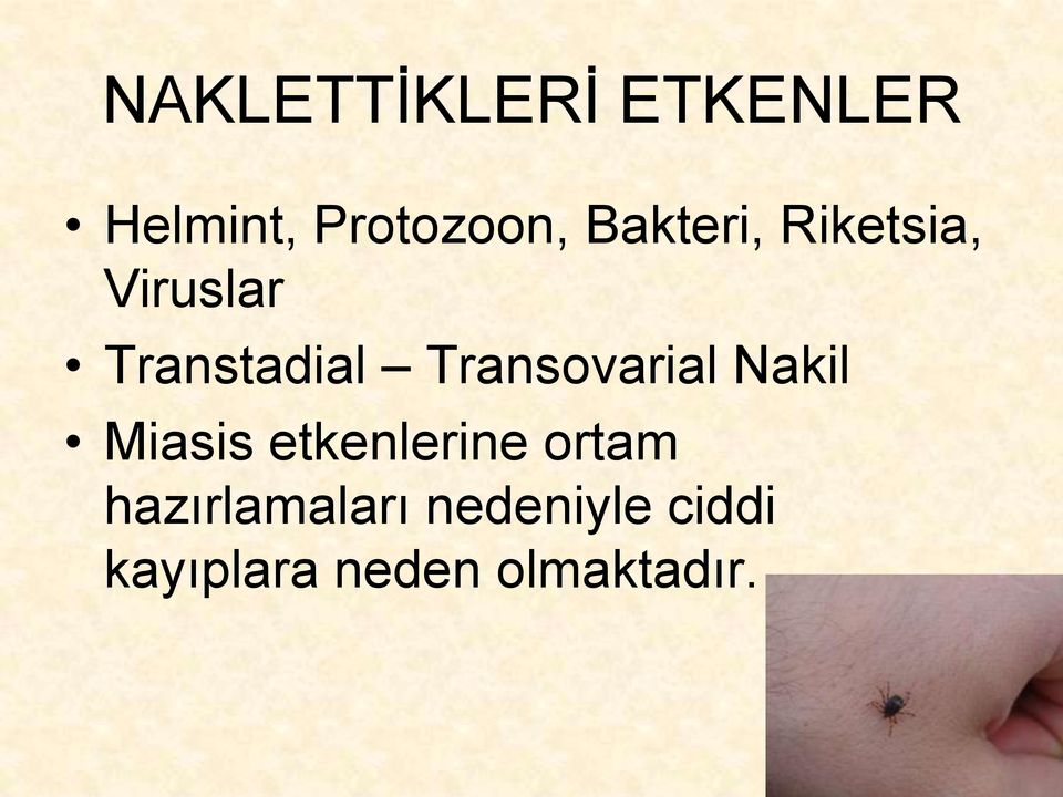 Transovarial Nakil Miasis etkenlerine ortam