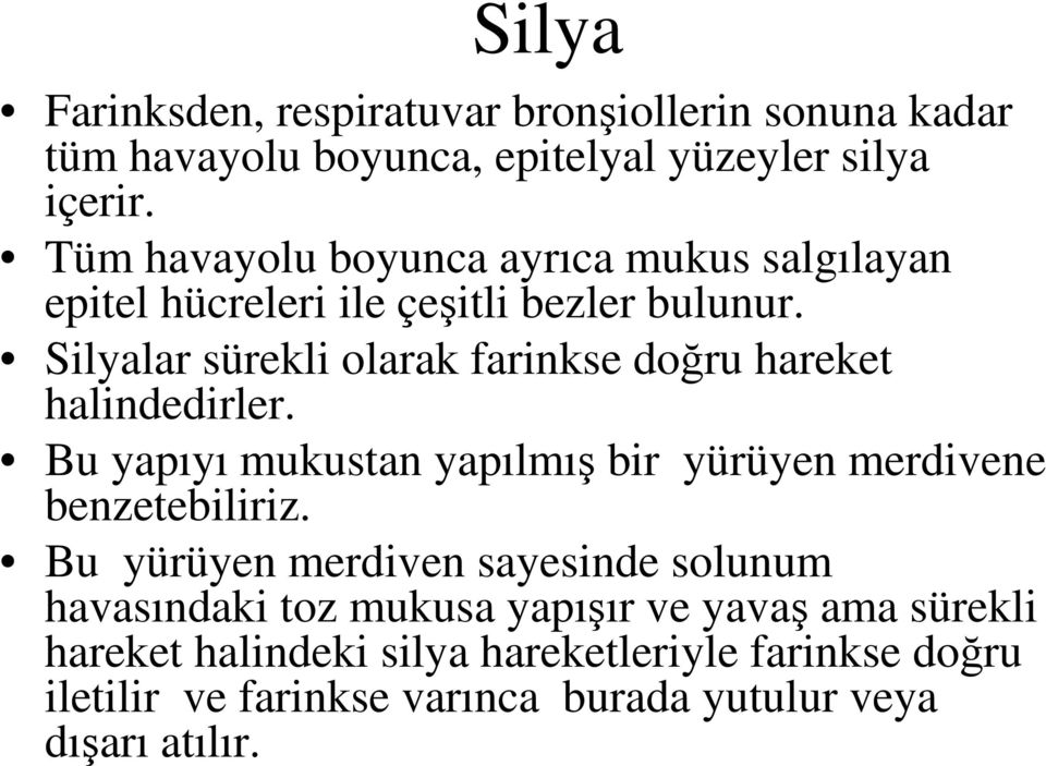 Silyalar sürekli olarak farinkse doğru hareket halindedirler. Bu yapıyı mukustan yapılmış bir yürüyen merdivene benzetebiliriz.