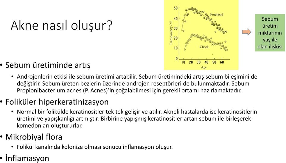 Acnes) in çoğalabilmesi için gerekli ortamı hazırlamaktadır. Foliküler hiperkeratinizasyon Normal bir folikülde keratinositler tek tek gelişir ve atılır.