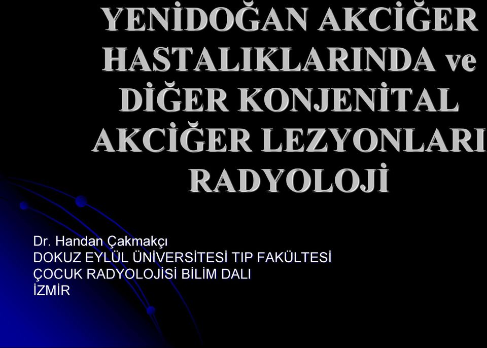 Handan Çakmakçı DOKUZ EYLÜL ÜNİVERSİTESİ