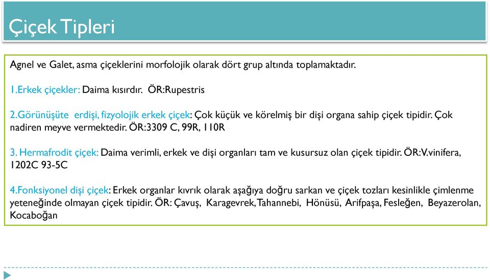 Hermafrodit çiçek: Daima verimli, erkek ve dişi organları tam ve kusursuz olan çiçek tipidir. ÖR:V.vinifera, 1202C 93-5C 4.