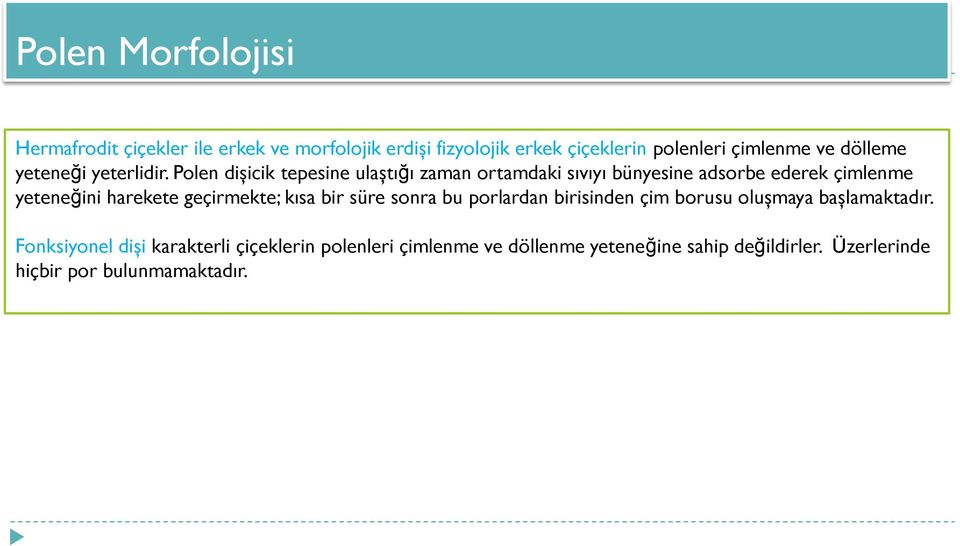 Polen dişicik tepesine ulaştığı zaman ortamdaki sıvıyı bünyesine adsorbe ederek çimlenme yeteneğini harekete geçirmekte;