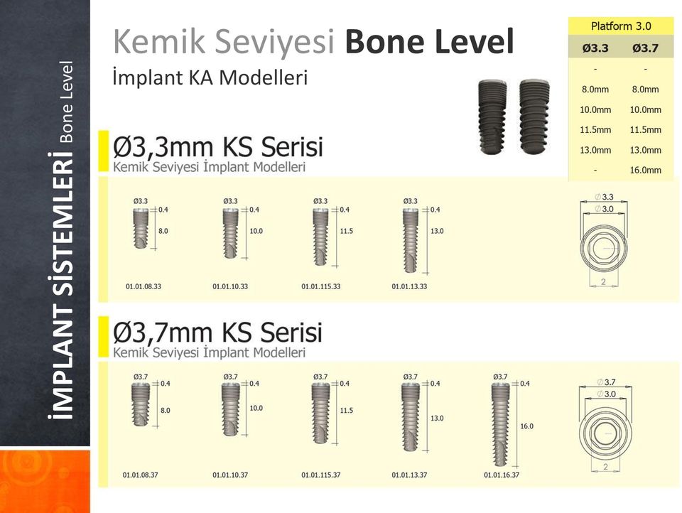 Seviyesi Bone