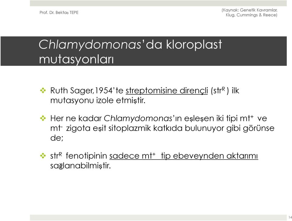 v Her ne kadar Chlamydomonas ın eşleşen iki tipi mt + ve mt - zigota eşit