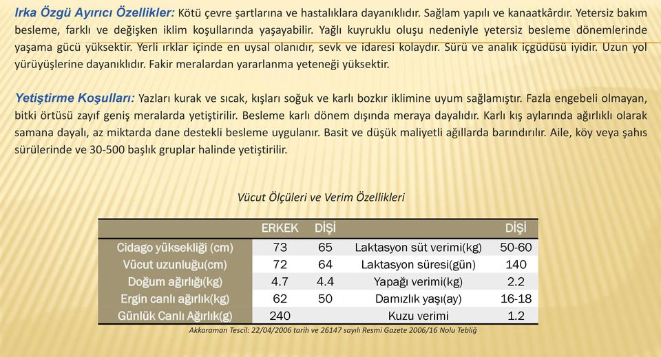 Uzun yol yürüyüşlerine dayanıklıdır. Fakir meralardan yararlanma yeteneği yüksektir. Yetiştirme Koşulları: Yazları kurak ve sıcak, kışları soğuk ve karlı bozkır iklimine uyum sağlamıştır.