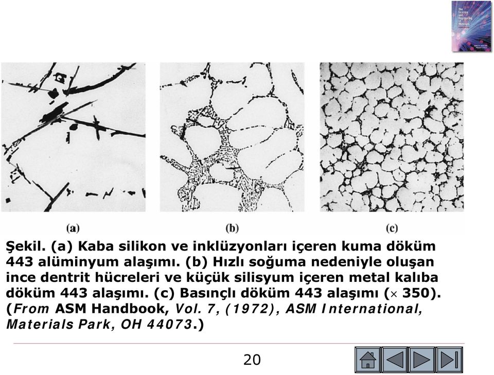 içeren metal kalıba döküm 443 alaşımı. (c) Basınçlı döküm 443 alaşımı ( 350).