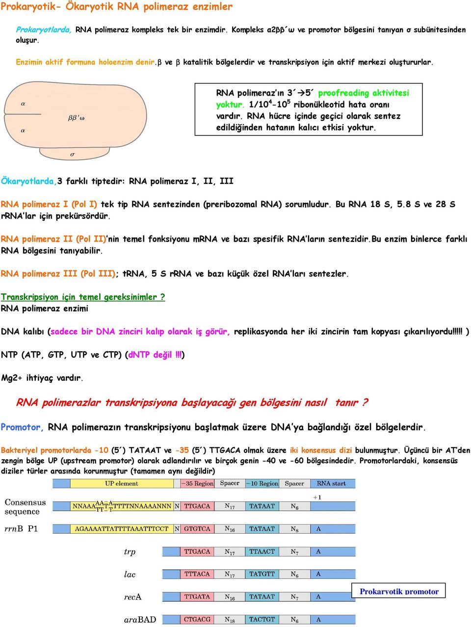 1/10 4-10 5 ribonükleotid hata oranı vardır. RNA hücre içinde geçici olarak sentez edildiğinden hatanın kalıcı etkisi yoktur.