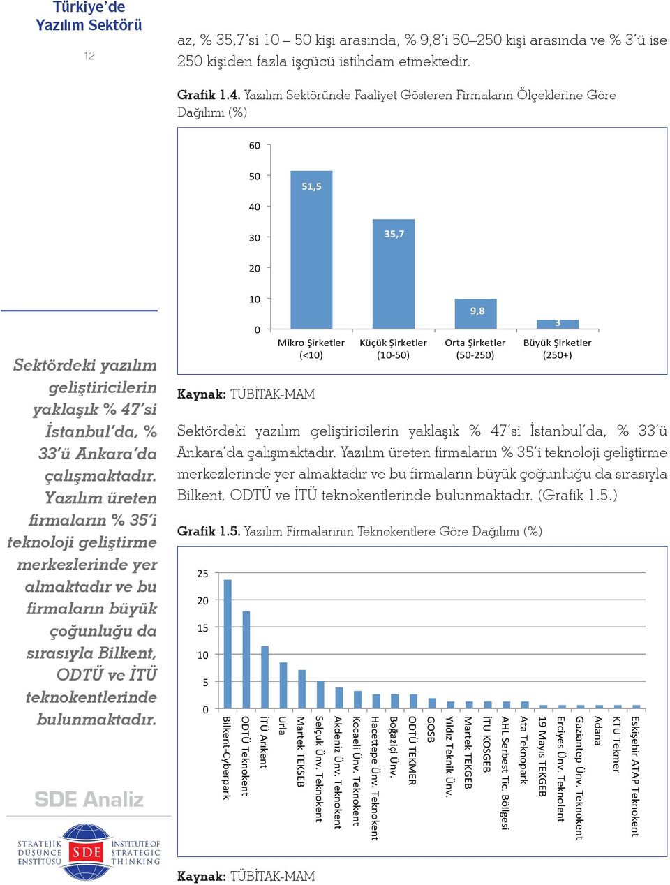 Yazılım üreten firmaların % 35 i teknoloji geliştirme merkezlerinde yer almaktadır ve bu firmaların büyük çoğunluğu da sırasıyla Bilkent, ODTÜ ve İTÜ teknokentlerinde bulunmaktadır.