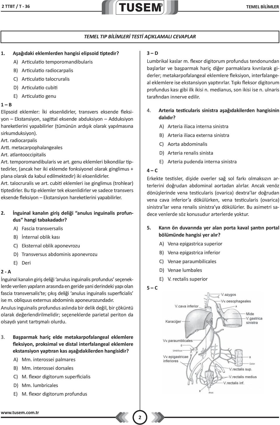 fleksiyon Ekstansiyon, sagittal eksende abduksiyon Adduksiyon hareketlerini yapabilirler (tümünün ardışık olarak yapılmasına sirkumduksiyon). Art. radiocarpalis Artt. metacarpophalangeales Art.