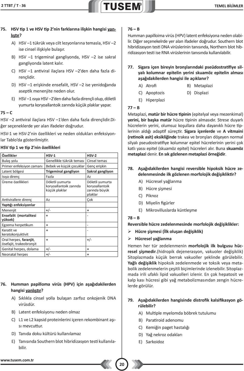 D) HSV 1 erişkinde ensefalit, HSV 2 ise yenidoğanda aseptik menenjite neden olur. E) HSV 1 ısıya HSV 2 den daha fazla dirençli olup, döletli yumurta koryoallantoik zarında küçük plaklar yapar.