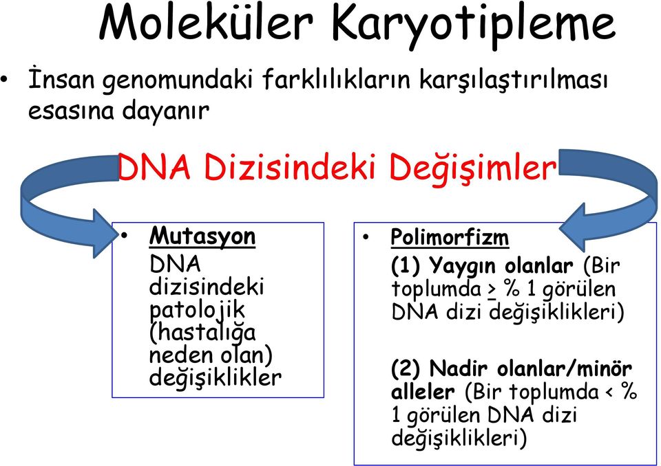 değişiklikler Polimorfizm (1) Yaygın olanlar (Bir toplumda > % 1 görülen DNA dizi
