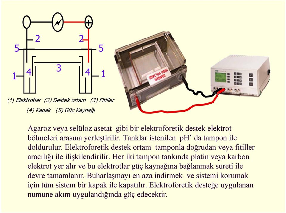 Elektroforetik destek ortam tamponla doğrudan veya fitiller aracılığı ile ilişkilendirilir.