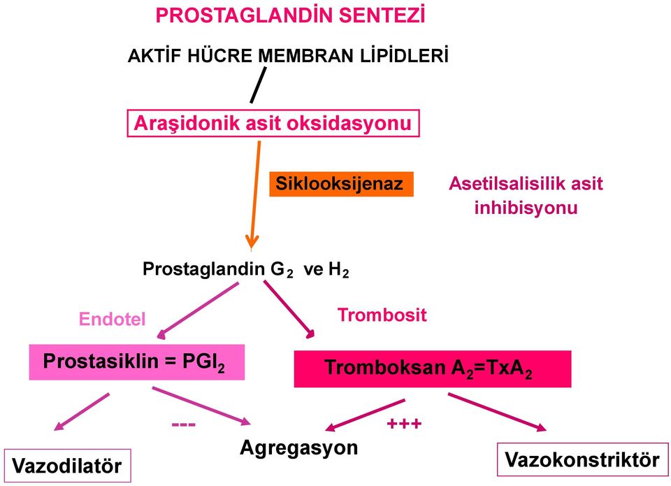 Prostaglandin G 2 ve H 2 Endotel Trombosit Prostasiklin = PGI 2 2 2