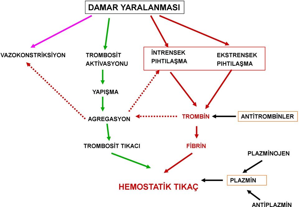 PIHTILAŞMA YAPIŞMA AGREGASYON TROMBİN ANTİTROMBİNLER