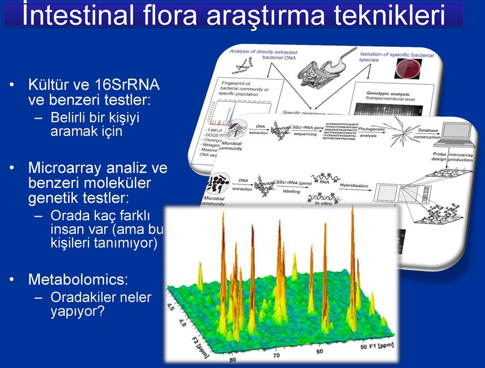 analiz ve benzeri moleküler genetik testler: Orada kaç farklı