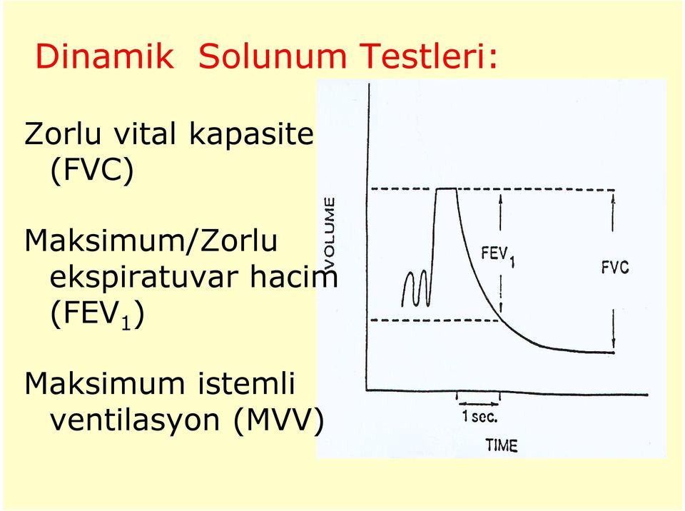 Maksimum/Zorlu ekspiratuvar