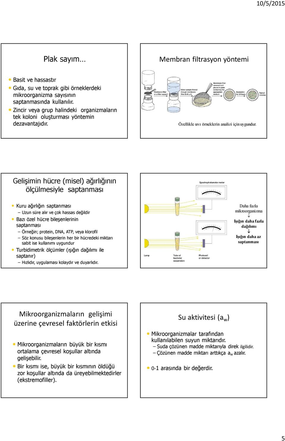 Gelişimin hücre (misel) ağırlığının ölçülmesiyle saptanması Kuru ağırlığın saptanması Uzun süre alır ve çok hassas değildir Bazı özel hücre bileşenlerinin saptanması Örneğin; protein, DNA, ATP, veya