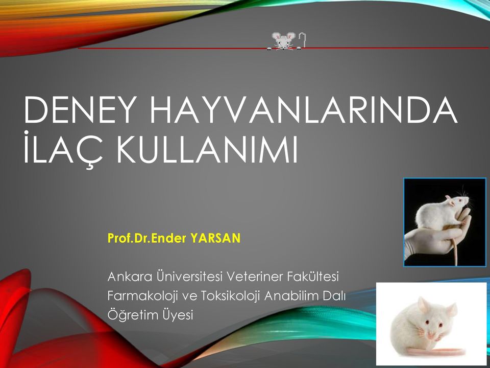Ender YARSAN Ankara Üniversitesi