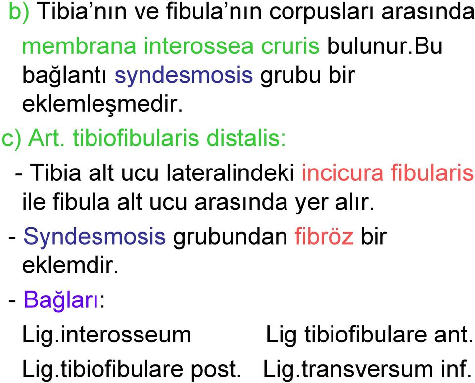 tibiofibularis distalis: - Tibia alt ucu lateralindeki incicura fibularis ile fibula alt ucu