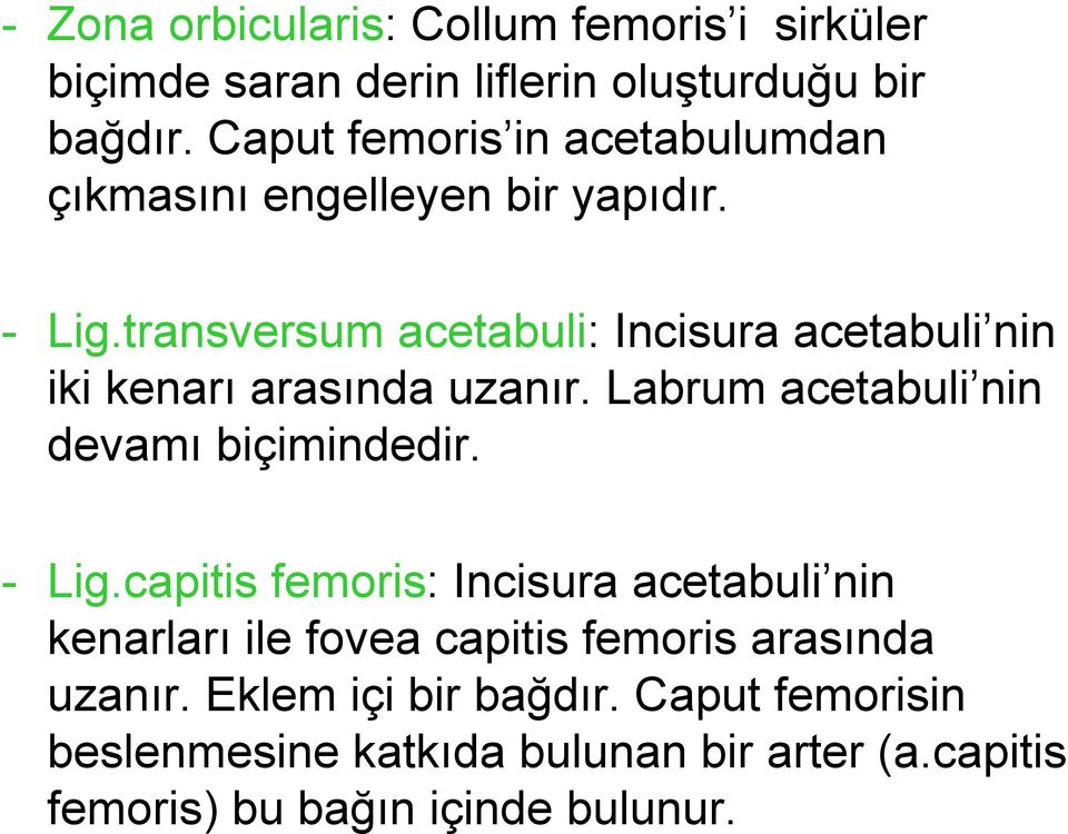 transversum acetabuli: Incisura acetabuli nin iki kenarı arasında uzanır. Labrum acetabuli nin devamı biçimindedir. - Lig.