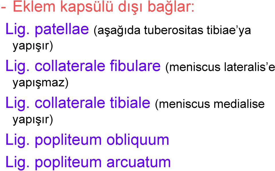 collaterale fibulare (meniscus lateralis e yapışmaz) Lig.