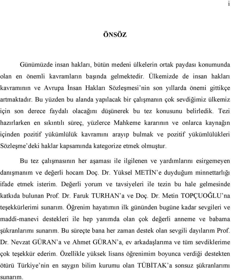 Bu yüzden bu alanda yapılacak bir çalışmanın çok sevdiğimiz ülkemiz için son derece faydalı olacağını düşünerek bu tez konusunu belirledik.