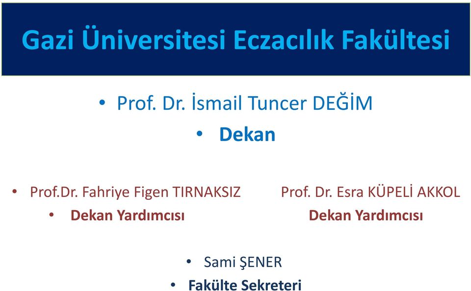 Fahriye Figen TIRNAKSIZ Prof. Dr.