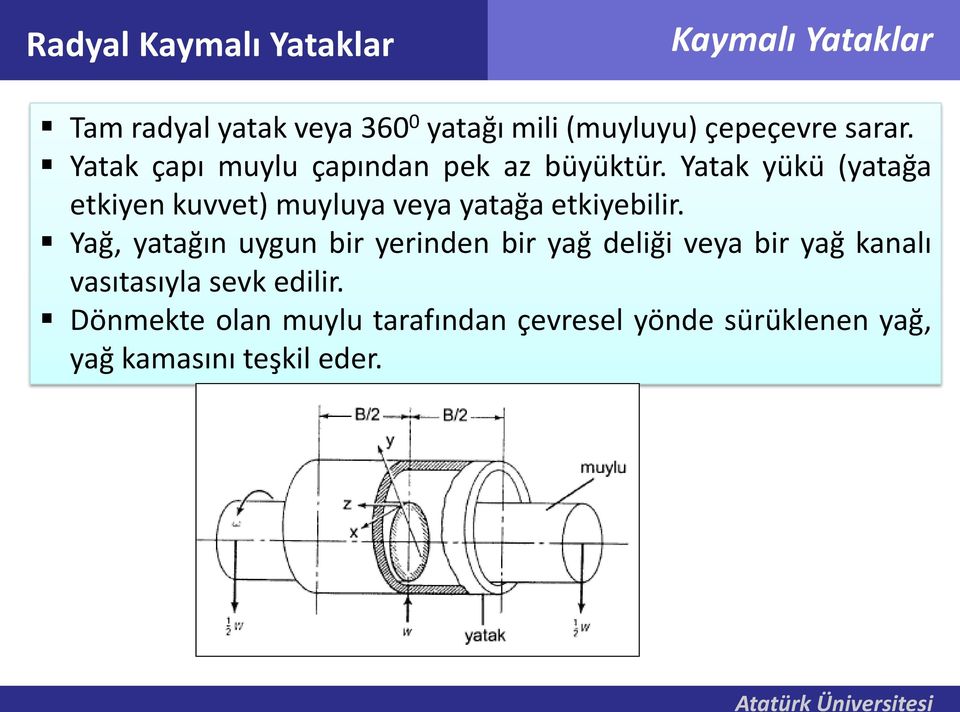 Yatak yükü (yatağa etkiyen kuvvet) muyluya veya yatağa etkiyebilir.