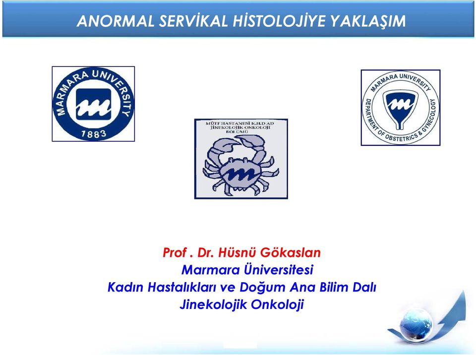 Hüsnü Gökaslan Marmara Üniversitesi