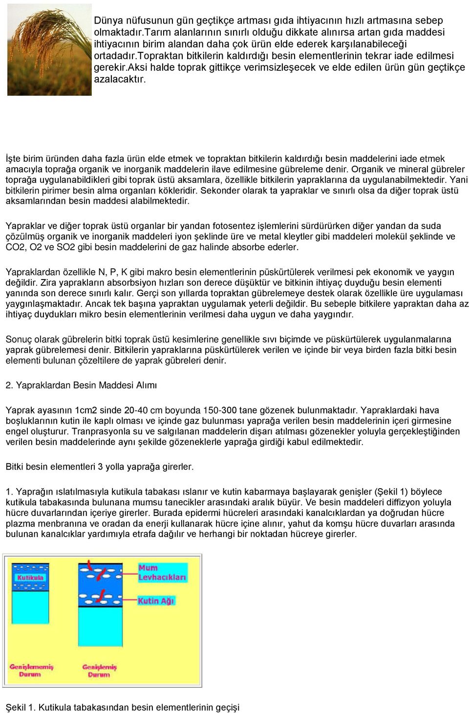 topraktan bitkilerin kaldırdığı besin elementlerinin tekrar iade edilmesi gerekir.aksi halde toprak gittikçe verimsizleşecek ve elde edilen ürün gün geçtikçe azalacaktır.