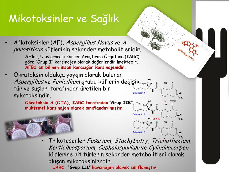 Okratoksin oldukça yaygın olarak bulunan Aspergillus ve Penicillium grubu küflerin değişik tür ve suşları tarafından üretilen bir mikotoksindir.