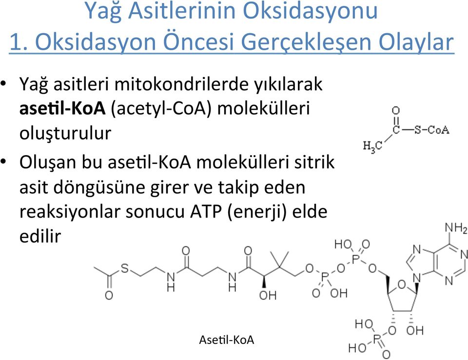 yıkılarak ase.