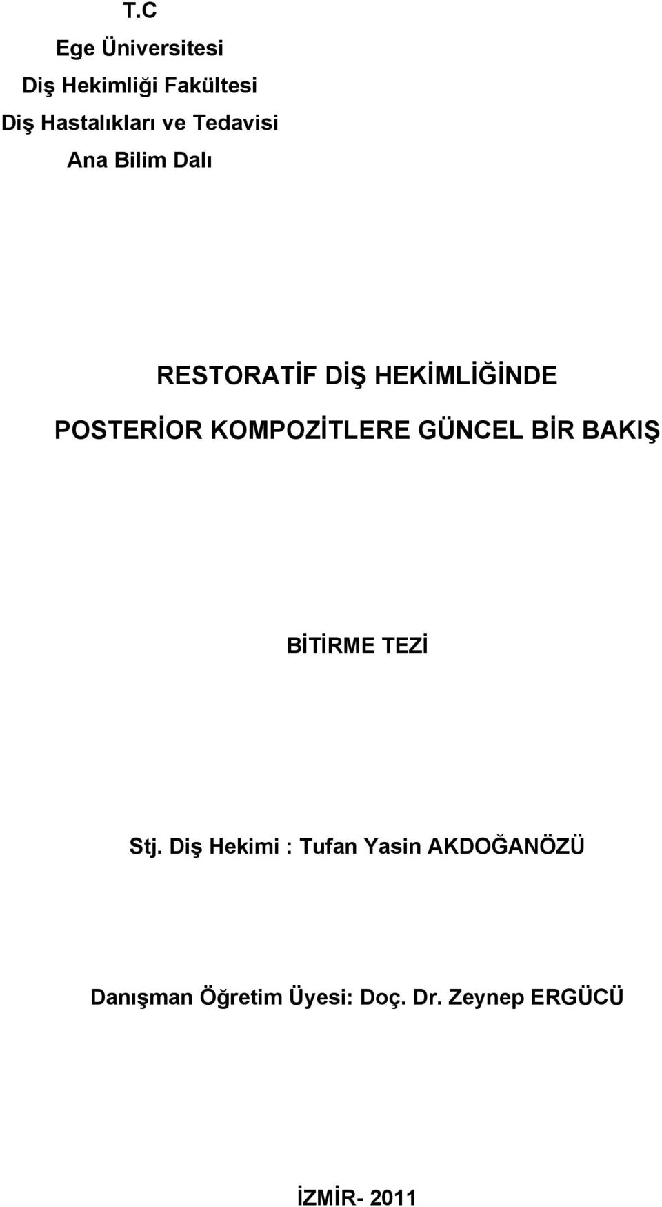 KOMPOZİTLERE GÜNCEL BİR BAKIŞ BİTİRME TEZİ Stj.