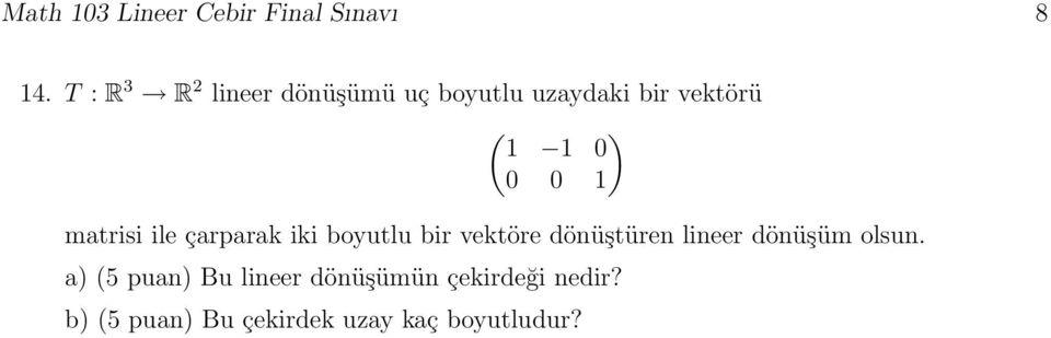 matrisi ile çarparak iki boyutlu bir vektöre dönüştüren lineer