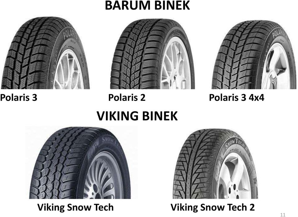 VIKING BINEK Viking Snow