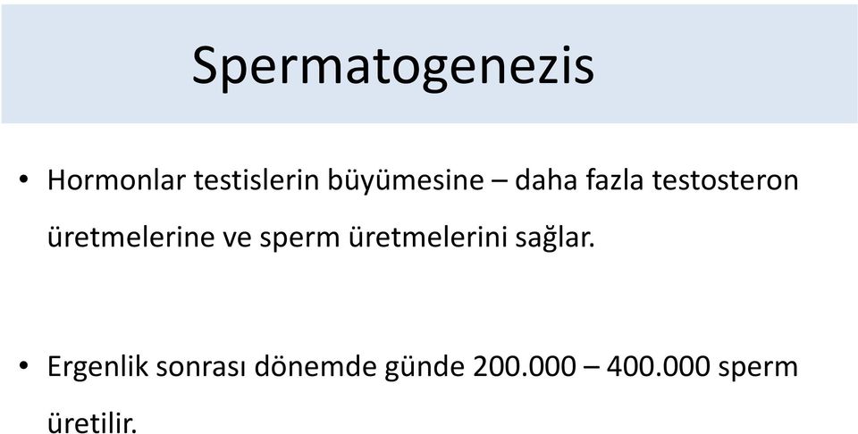 üretmelerine ve sperm üretmelerini sağlar.