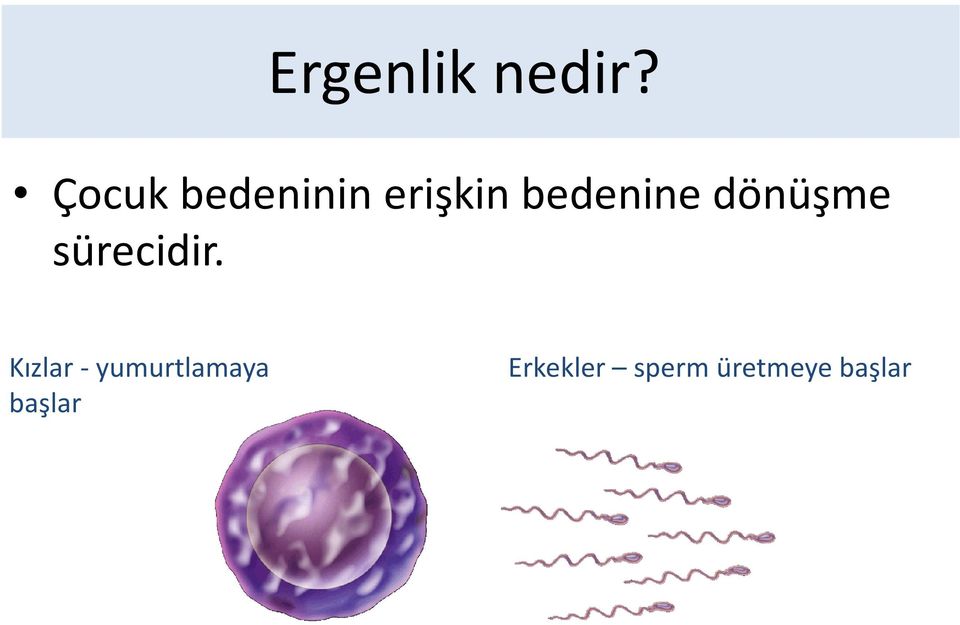 bedenine dönüşme sürecidir.