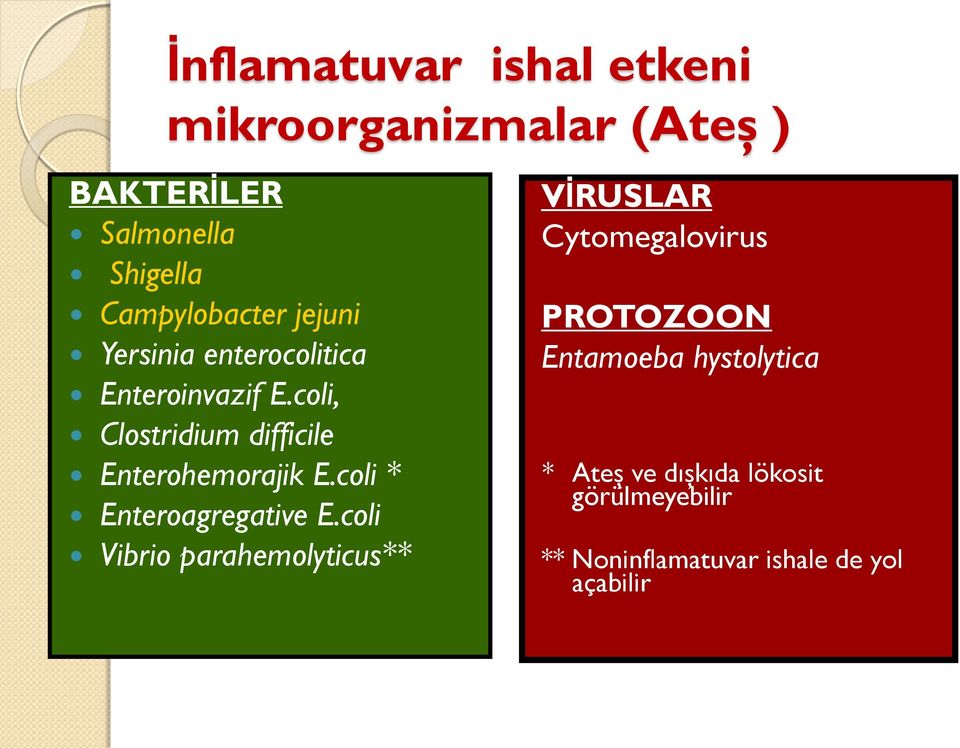 coli * Enteroagregative E.