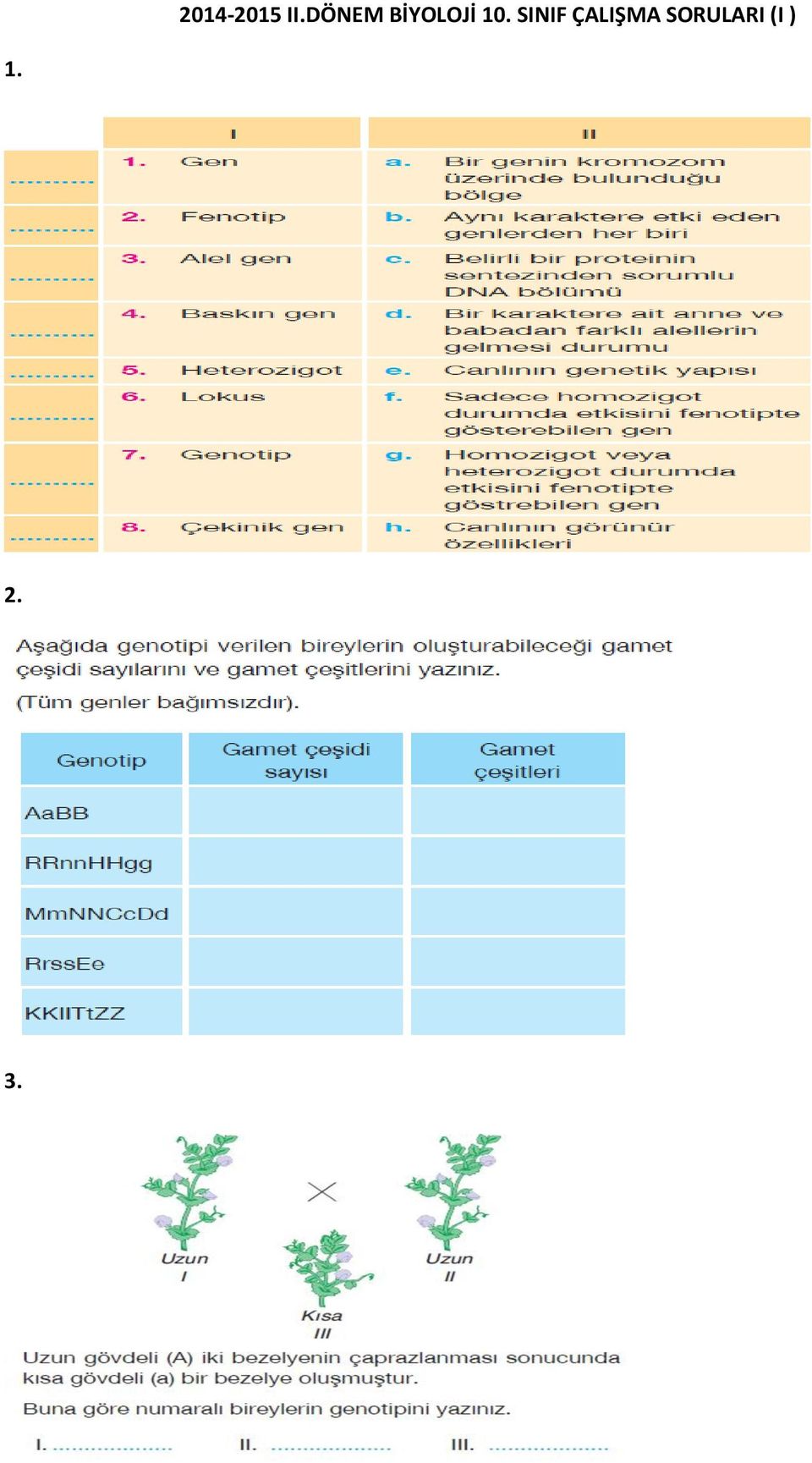 10. SINIF