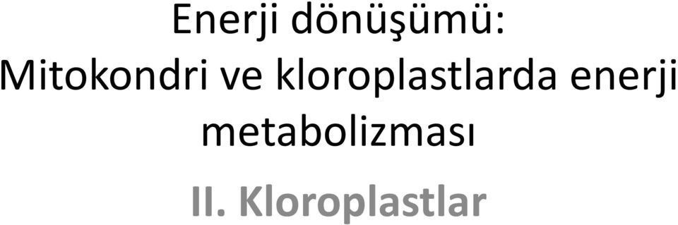 kloroplastlarda