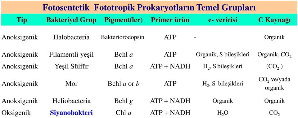 Organik, CO 2 Anoksigenik Yeşil Sülfür Bchl a ATP + NADH H 2, S bileşikleri (CO 2 ) Anoksigenik Mor Bchl a or b ATP H 2, S