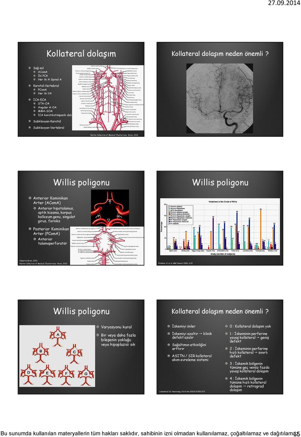 Medical Illustartions : Brain, 2013 Willis poligonu Willis poligonu Anterior Kominikan Arter (AComA) Anterior hipotalamus, optik kizama, korpus kallozum genu, singulat girus, forniks Posterior