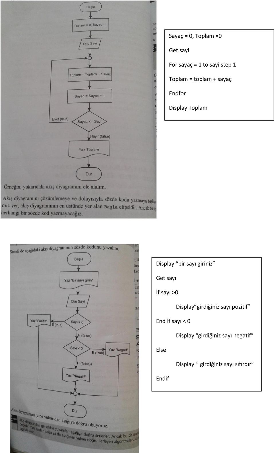 sayı İf sayı >0 Display girdiğiniz sayı pozitif End if sayı < 0