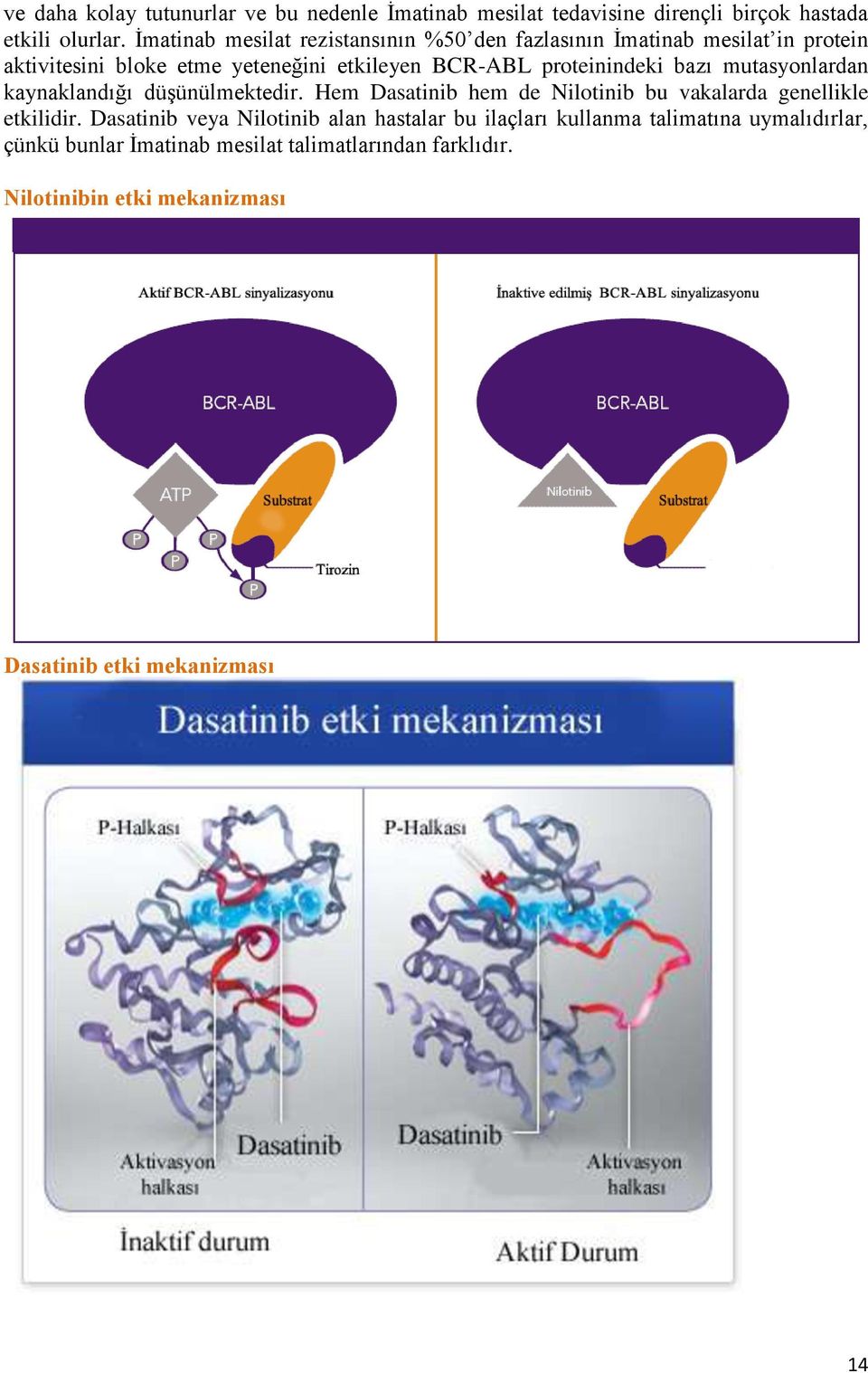 proteinindeki bazı mutasyonlardan kaynaklandığı düşünülmektedir. Hem Dasatinib hem de Nilotinib bu vakalarda genellikle etkilidir.