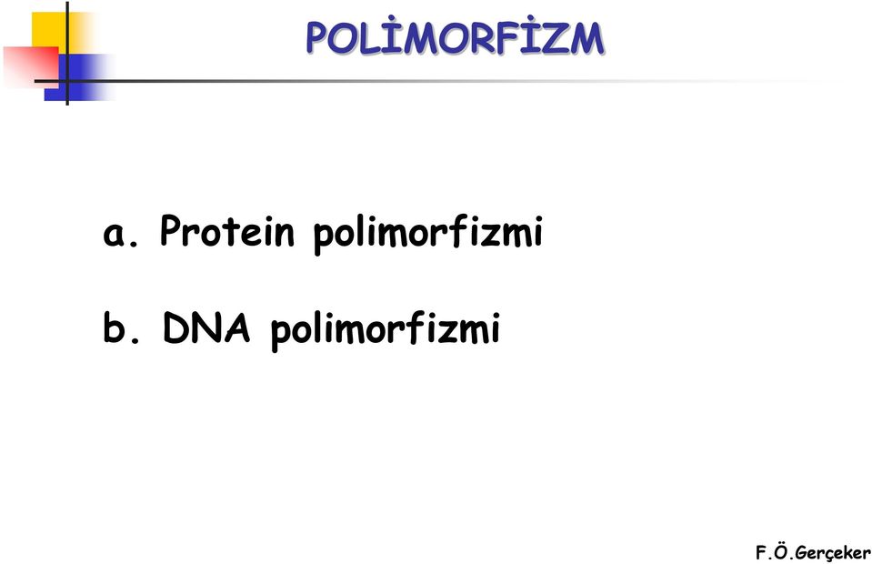 polimorfizmi