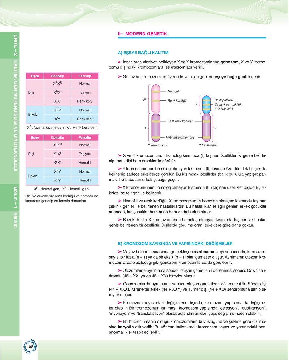 körlüğü ve hemofili bakımından genotip ve fenotip durumları II MODERN GENETİK ) EŞEYE BĞLI KLITIM İnsanlarda cinsiyeti belirleyen X ve Y kromozomlarına gonozom, X ve Y kromozomu dışındaki