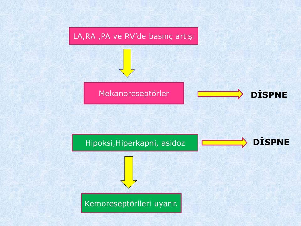 DİSPNE Hipoksi,Hiperkapni,