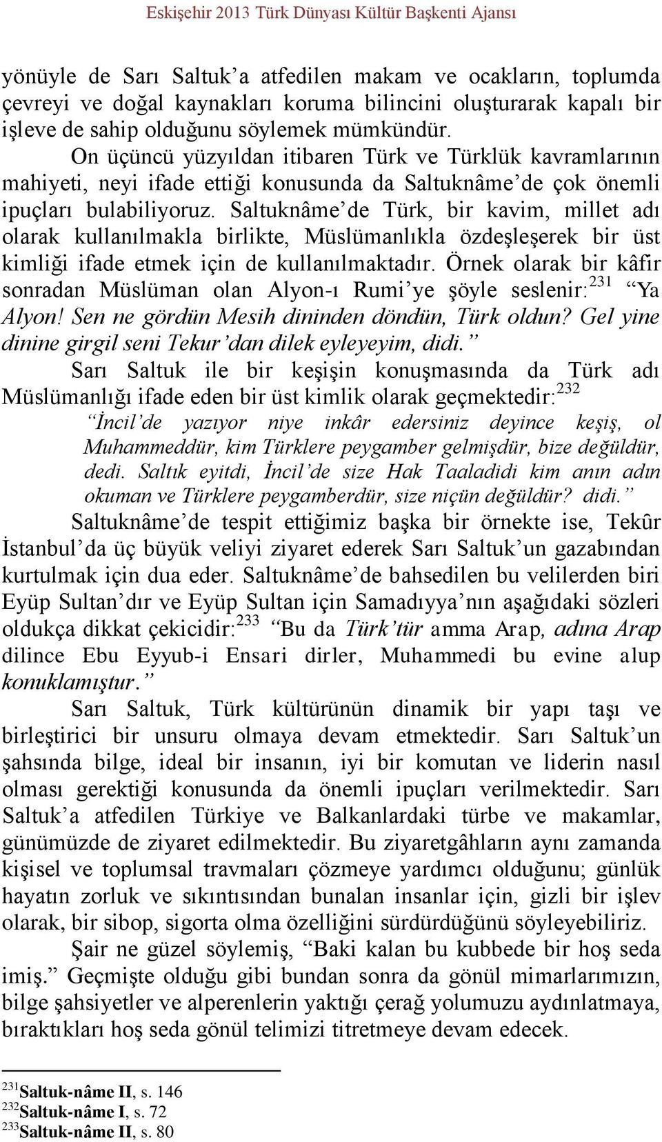 Saltuknâme de Türk, bir kavim, millet adı olarak kullanılmakla birlikte, Müslümanlıkla özdeşleşerek bir üst kimliği ifade etmek için de kullanılmaktadır.