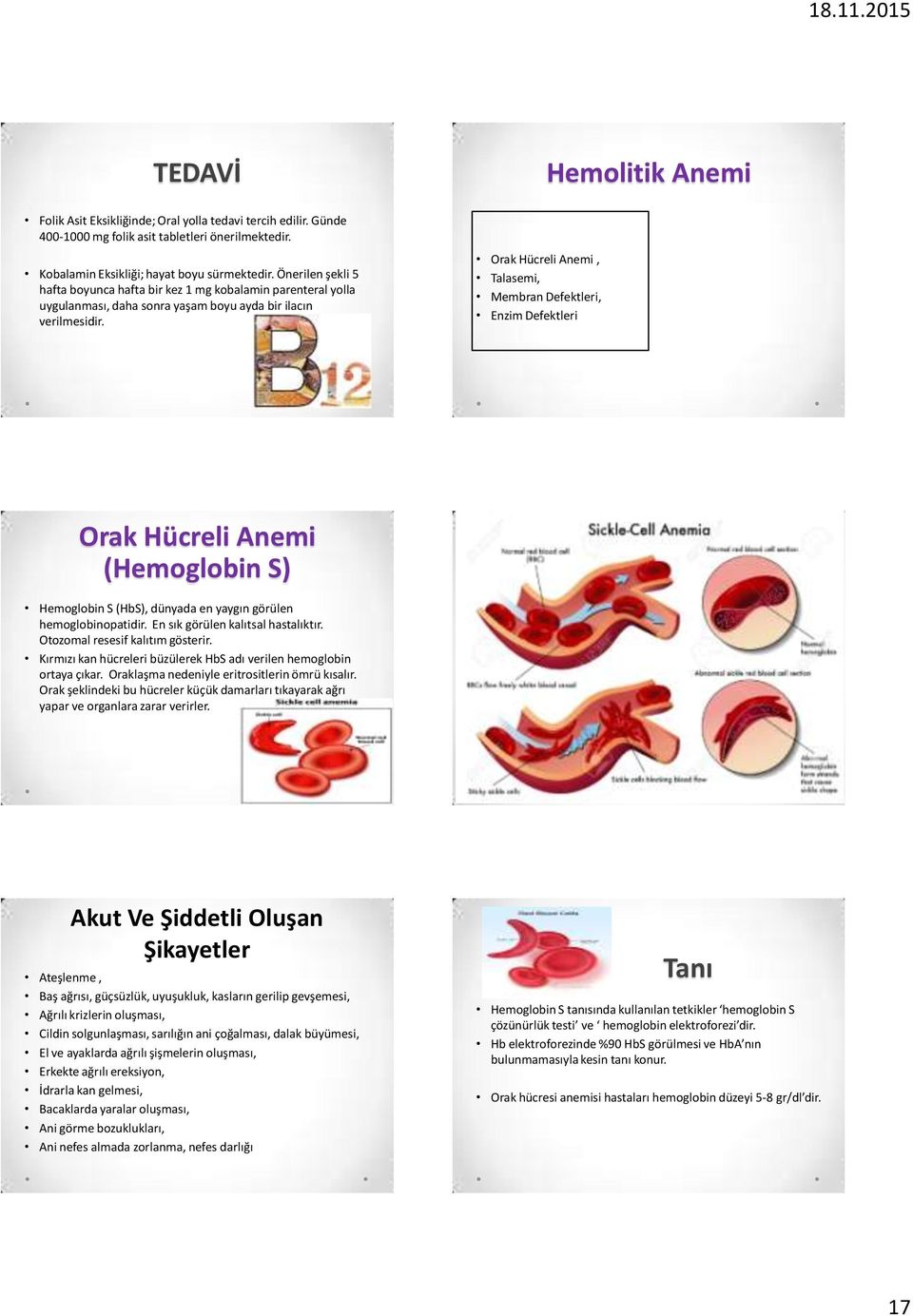 Orak Hücreli Anemi, Talasemi, Membran Defektleri, Enzim Defektleri Orak Hücreli Anemi (Hemoglobin S) Hemoglobin S (HbS), dünyada en yaygın görülen hemoglobinopatidir.